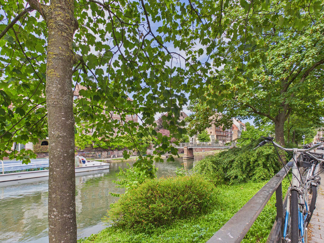 Grand local de 109 m2 + 63m2 de cave/stockage - Divisible en 2 espaces distincts - QUAI DES BATELIERS - photo 8