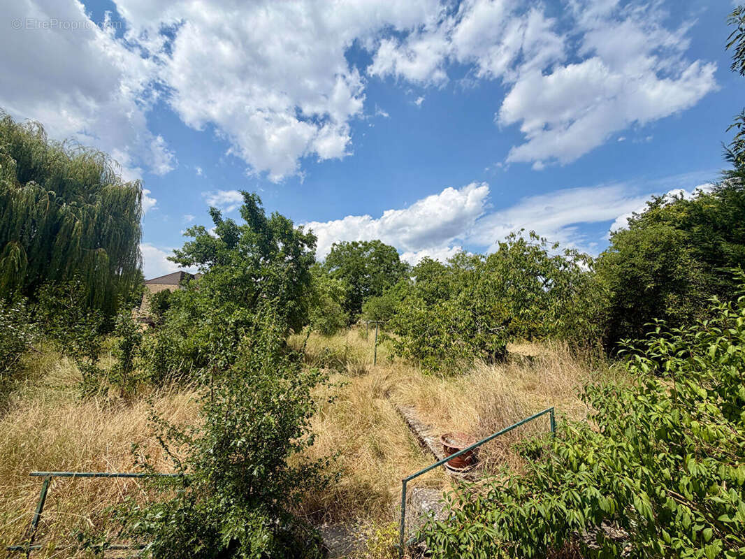 Maison Waldwisse 6 pièce(s) 146.77 m2 - photo 4