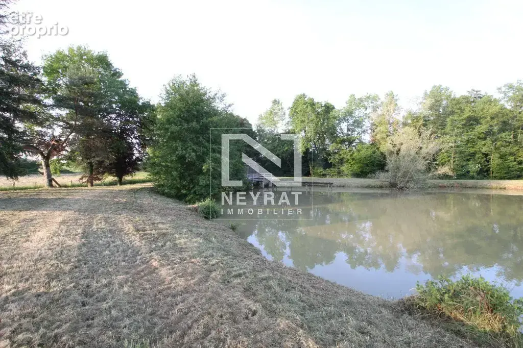 Etang avec sources - photo 19