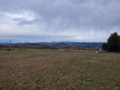 Terrain à SOLIGNAC-SUR-LOIRE
