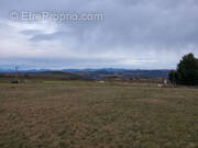 Terrain à SOLIGNAC-SUR-LOIRE
