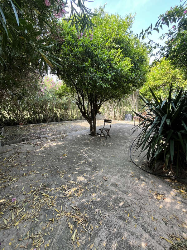 Maison à PIETRACORBARA