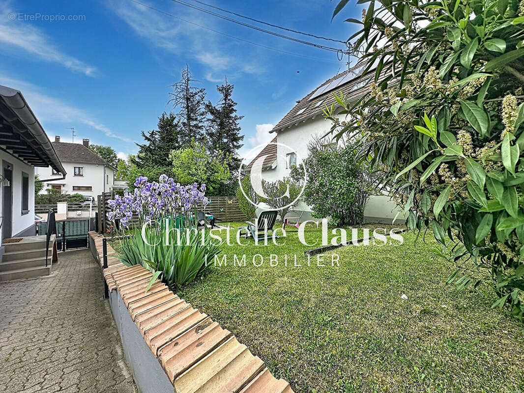 Maison à HOCHFELDEN
