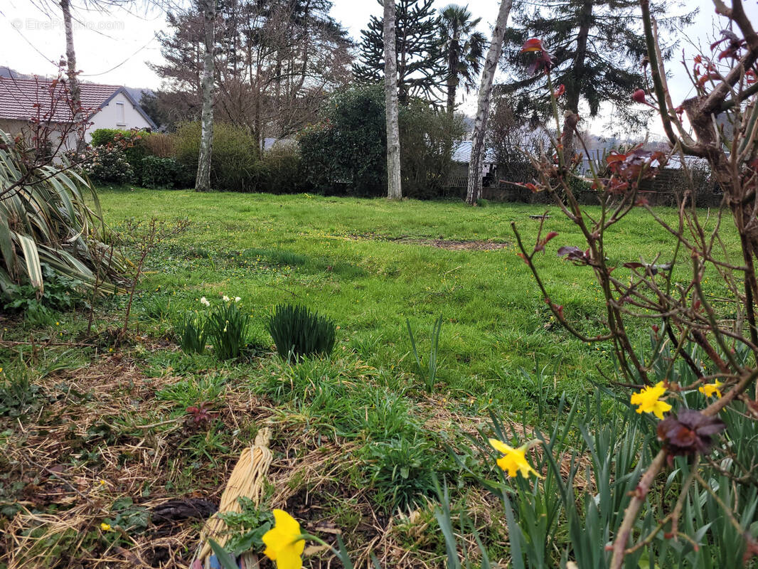 Terrain à PLOUBEZRE