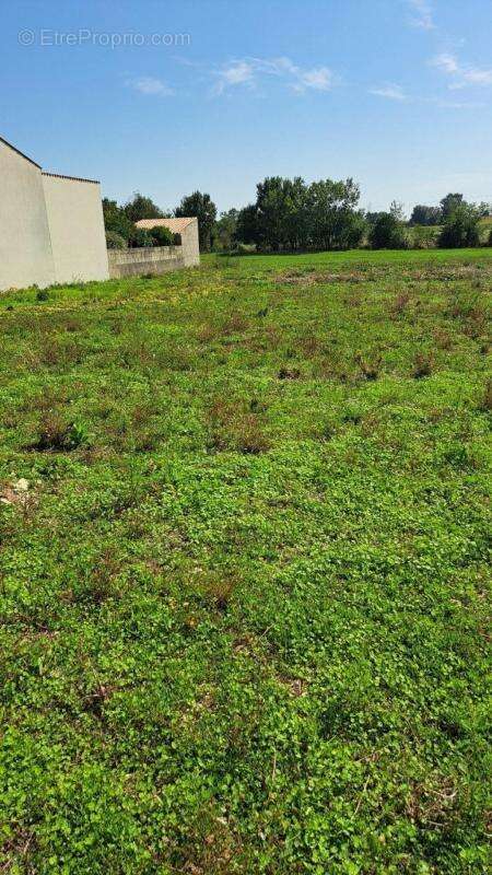 Terrain à THAIRE