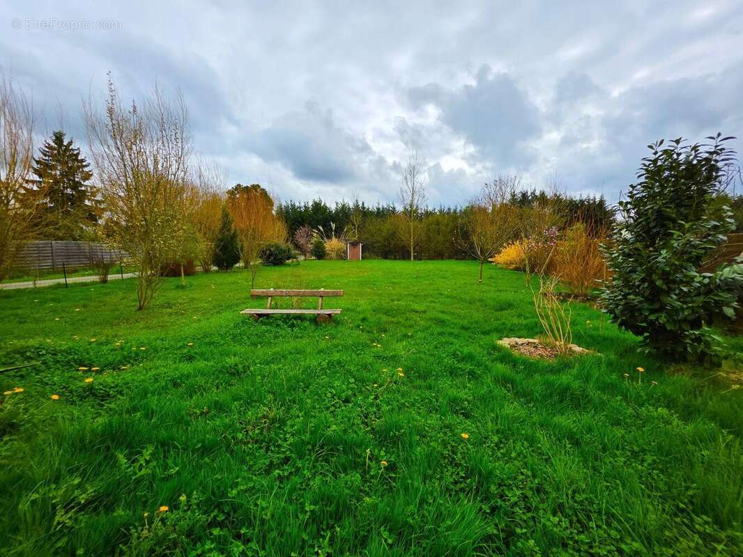 Photo 2 - Maison à LA FLECHE