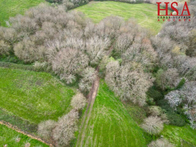 Terrain à BRASSEMPOUY