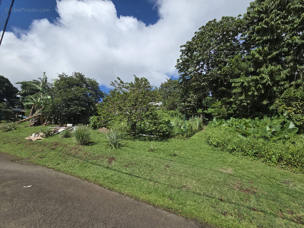 Terrain à SAINT-JOSEPH