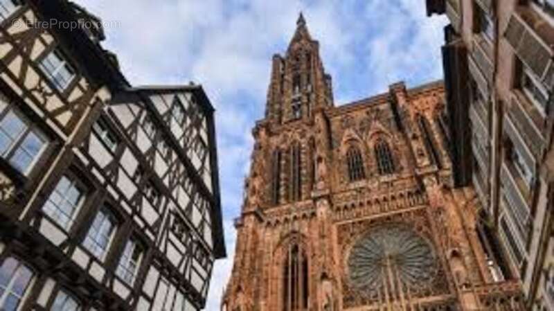 Commerce à STRASBOURG