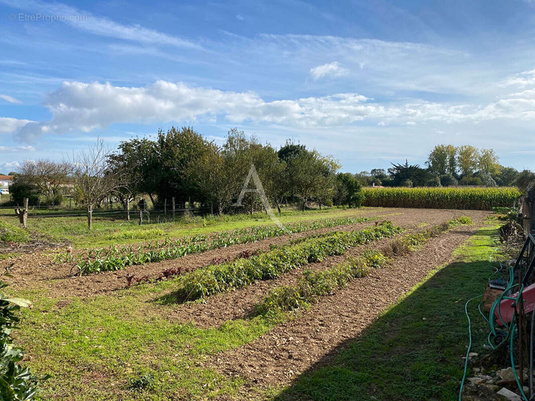 Maison à LONGEVILLE-SUR-MER