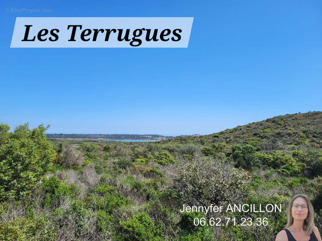 Plusieurs parcelles de terres à FITOU   21 000 m2 - photo 3