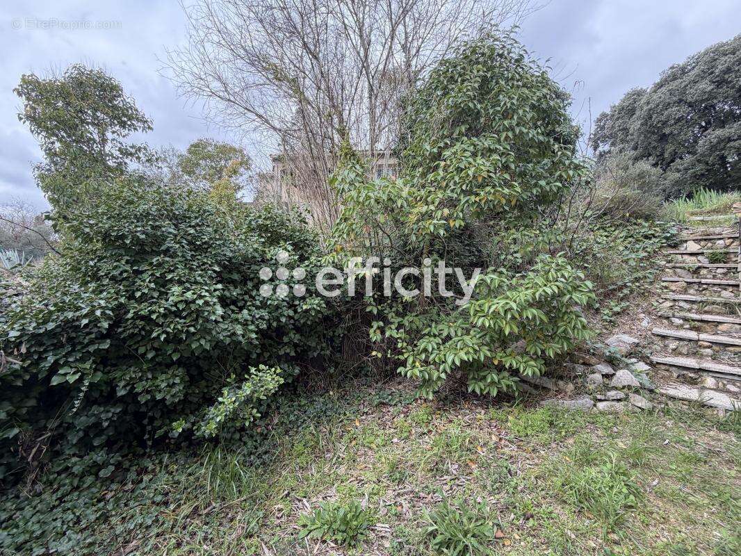 Maison à CASTELNAU-LE-LEZ