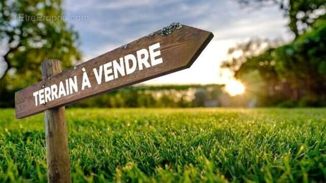 Terrain à VENES