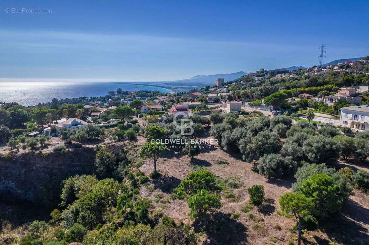 Terrain à SAN-MARTINO-DI-LOTA