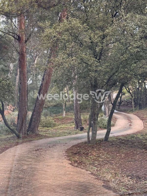 Maison à LA BASTIDONNE