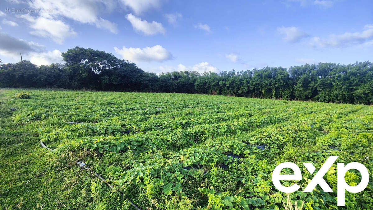 Terrain à LE VAUCLIN