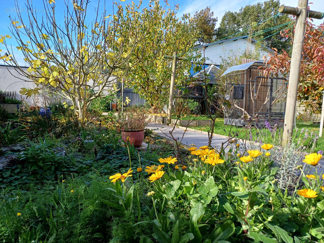 Maison à LA FERRIERE