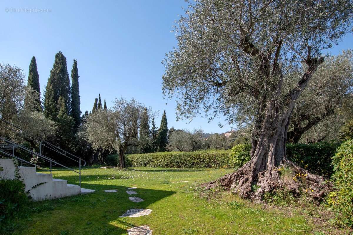 Maison à CHATEAUNEUF-GRASSE