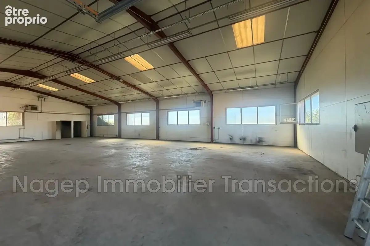 Commerce 300 m² à vendre à Creuzier-Le-Vieux (03300) - photo 2