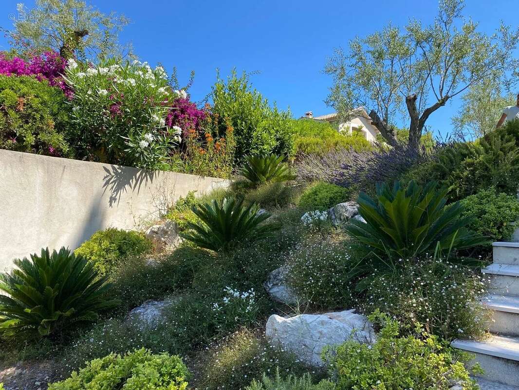 Maison à ANTIBES