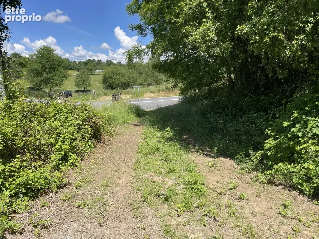 Proche Pompadour, en pérIphérie du village de Saint-Sornin Lavolps - photo 12