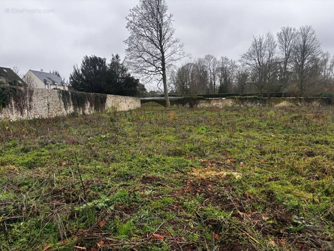 Terrain à MORTCERF