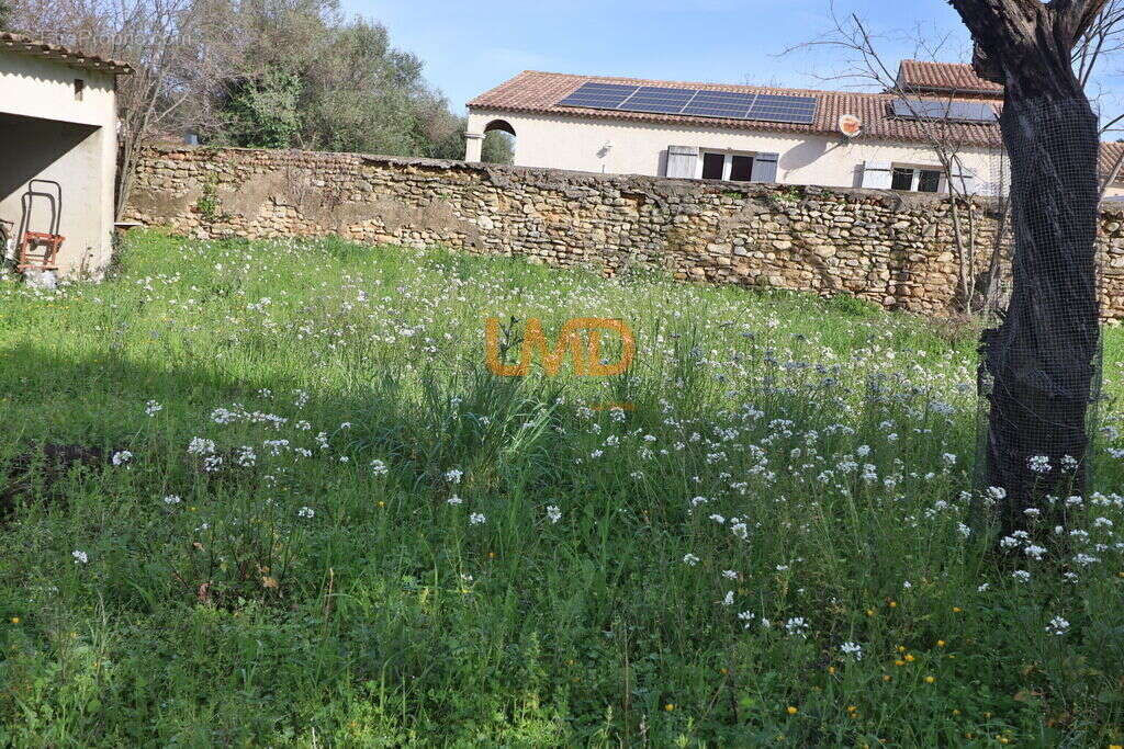 Terrain à MUS