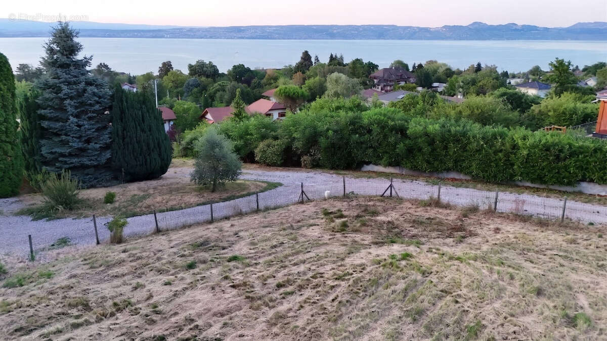 Terrain à EVIAN-LES-BAINS