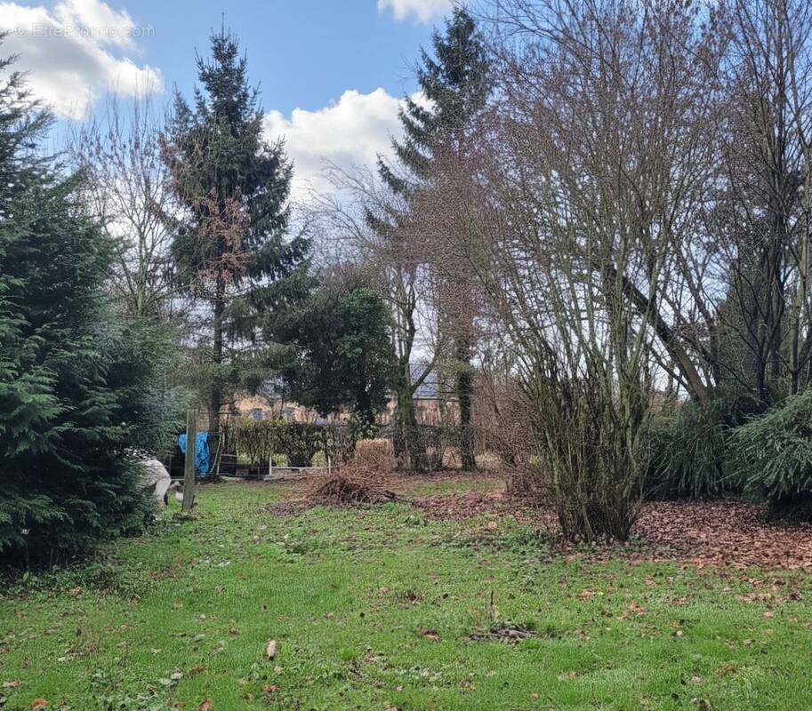 Terrain à AVESNES-SUR-HELPE