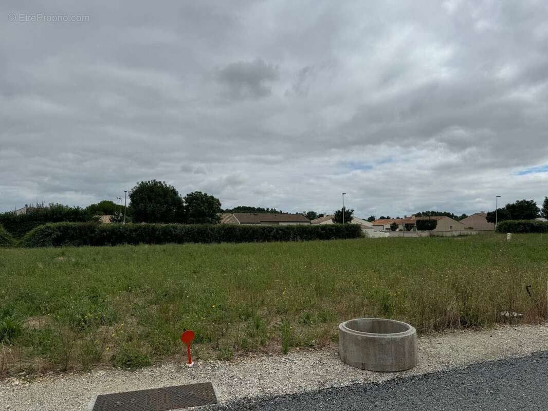 Terrain à SURGERES