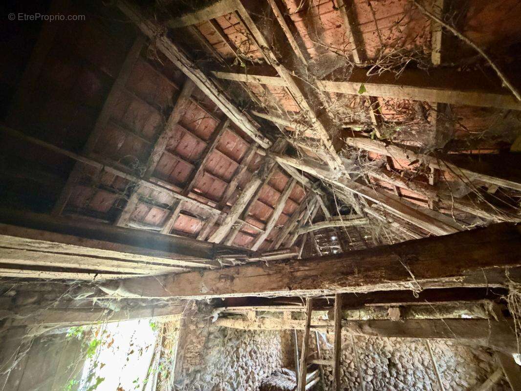 Projet de rénovation dans un bel endroit - photo 6