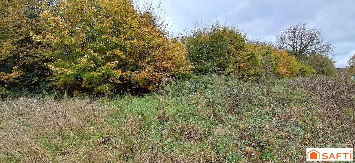 Photo 4 - Terrain à BEAUVAIN