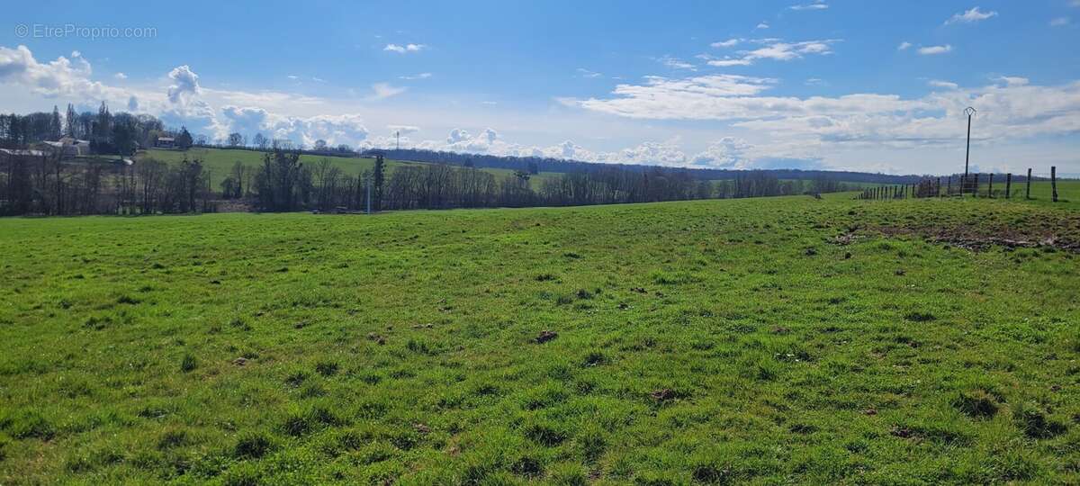 Terrain à BRIN-SUR-SEILLE