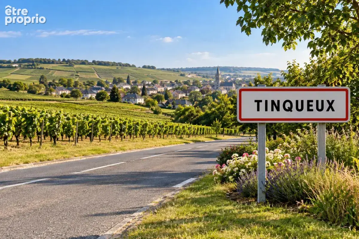 Terrain à TINQUEUX