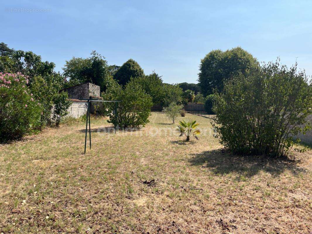 Maison de charme - 4 chambres - Beaux volumes - Garage 55m² - Mansle (16) - photo 14