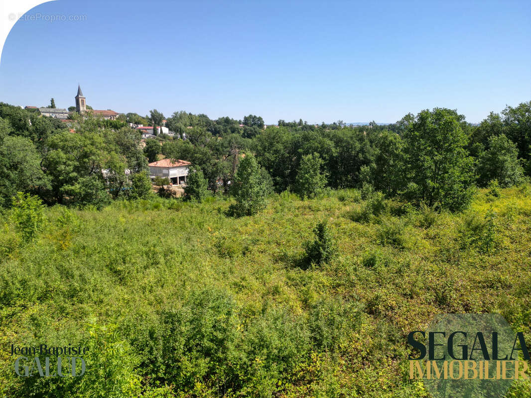 Terrain constructible boisé de 6 310 m2 à Mirandol-Bourgnounac - photo 18