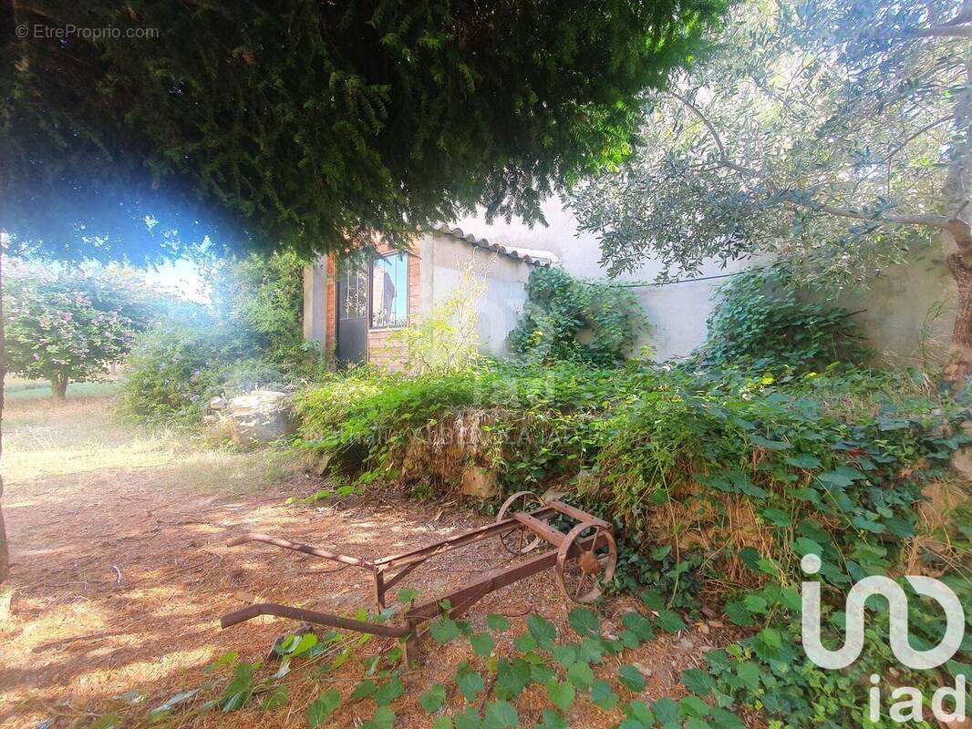 Photo 1 - Maison à CANET