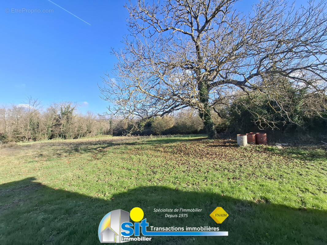 Terrain 3260 m2 - photo 2