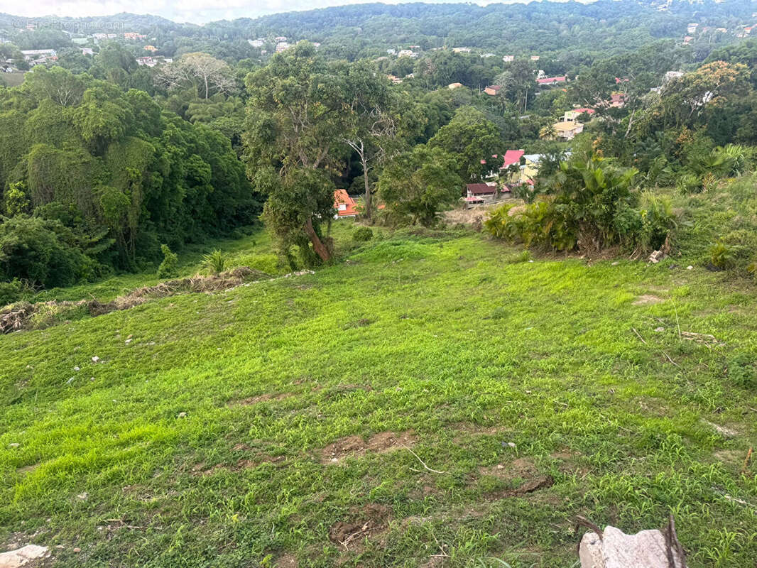 Terrain à vendre à Balata FORT DE FRANCE - photo 14