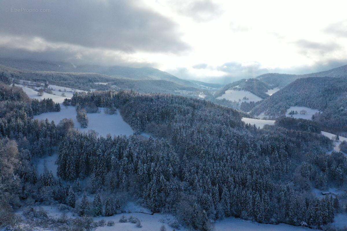 Terrain à VILLARD-DE-LANS