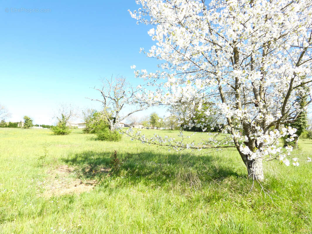 Terrain à SAINT-PRIVAT-DES-PRES