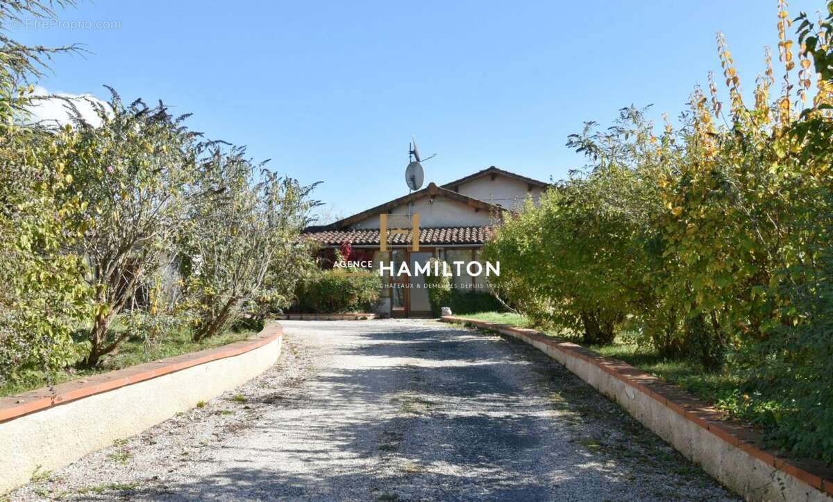 Maison à CORDES-SUR-CIEL