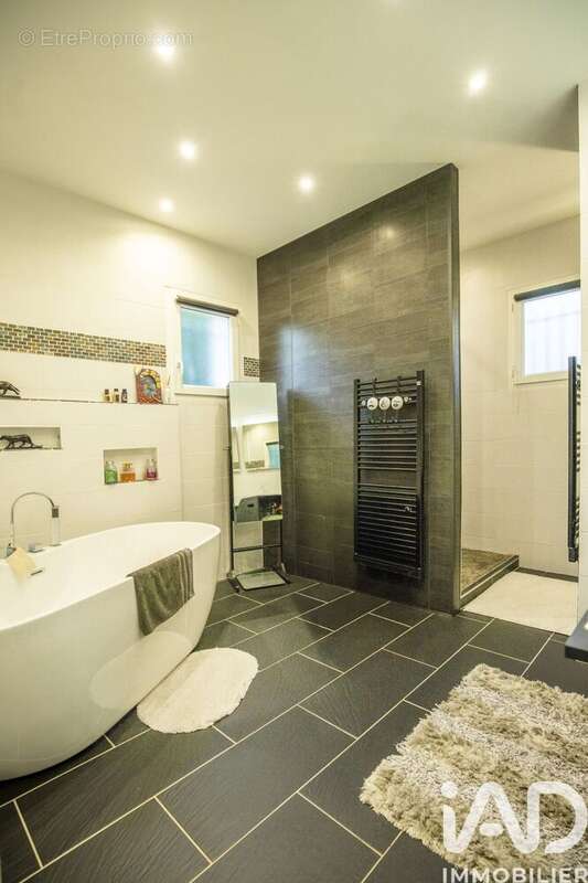 Photo 7 - Maison à VILLENEUVE-DE-RIVIERE