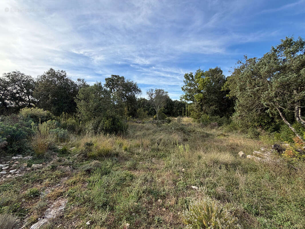 Terrain à bâtir sur 5 hectares - photo 9
