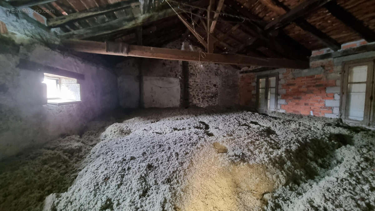 20250211_110501 - Commerce à NONTRON