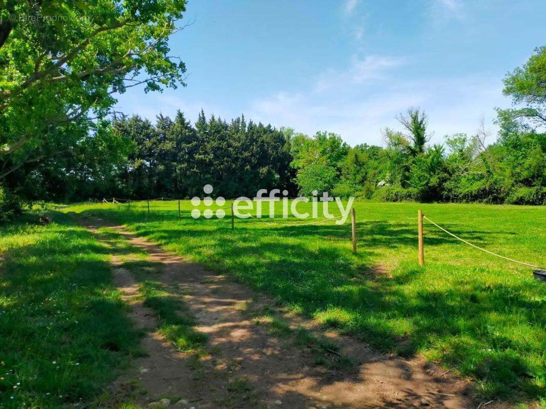 Maison 242 m² à Eyguieres  - photo 17