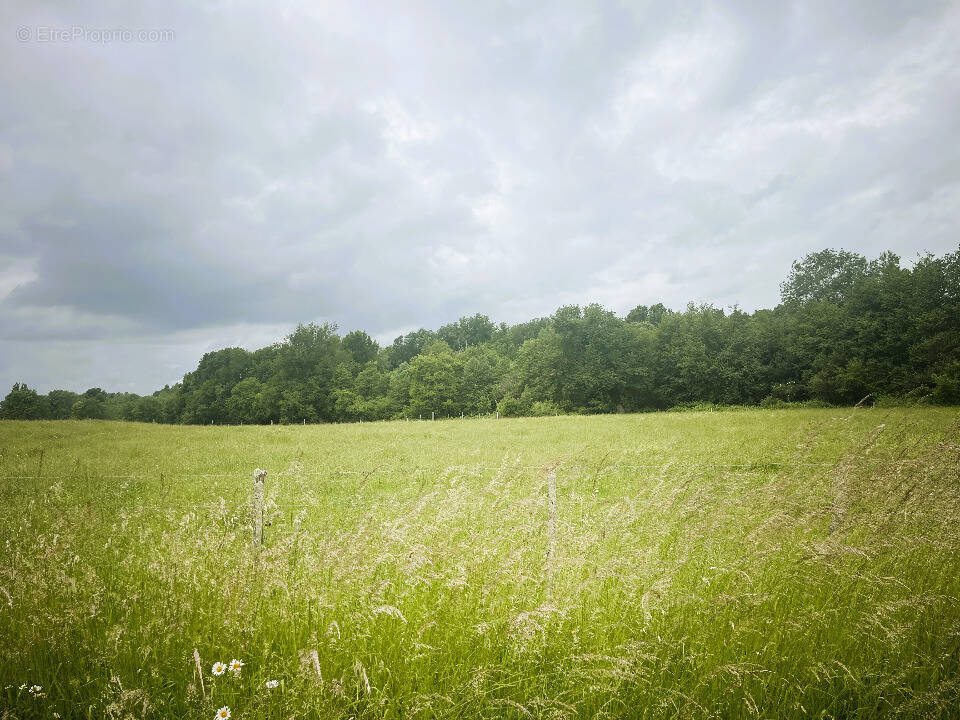 Terrain à LA LANDE-DE-FRONSAC