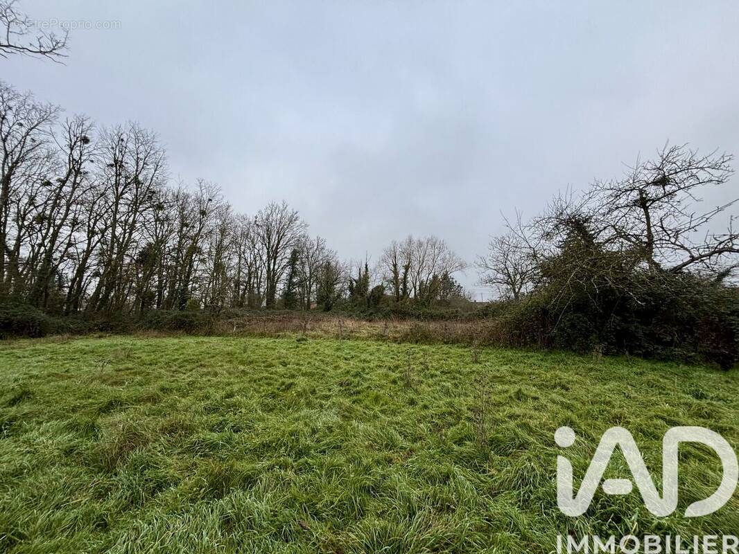 Photo 1 - Terrain à BEAULON