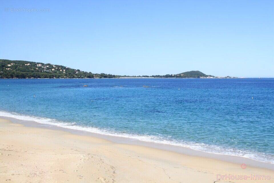 Appartement à PIETROSELLA