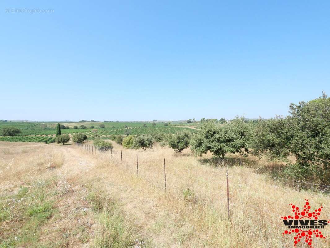 Exceptionnel : Truffière en production sur 2,2 hectares aux portes de Béziers - photo 6